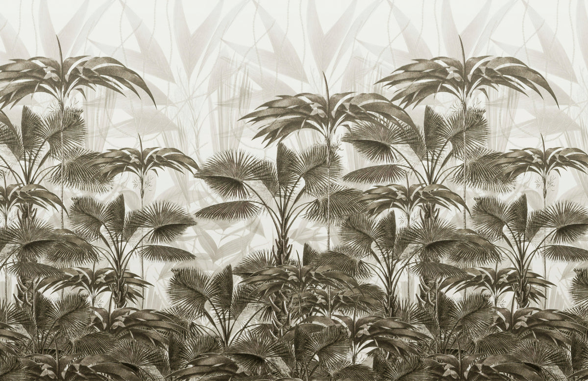 Bushy Palms Wallpaper Murals