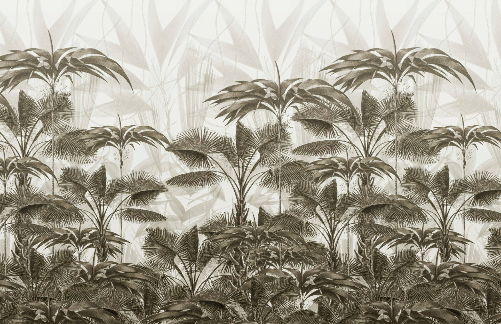 Bushy Palms Wallpaper Murals