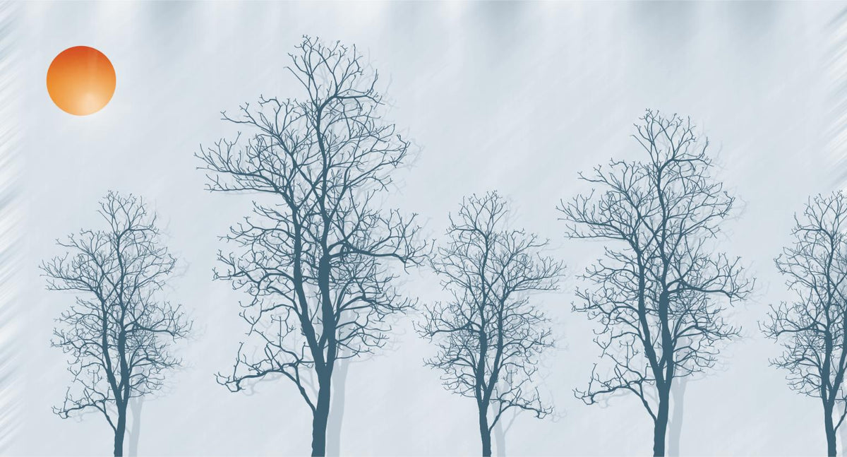 Contours Of Trees, Red Sun Wallpaper Murals in your room