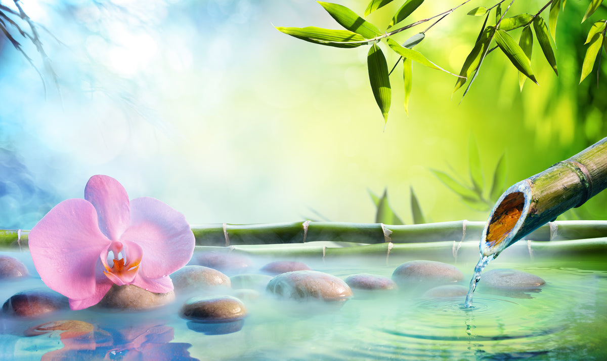 Peaceful Bamboo Grove Wall Mural in your room