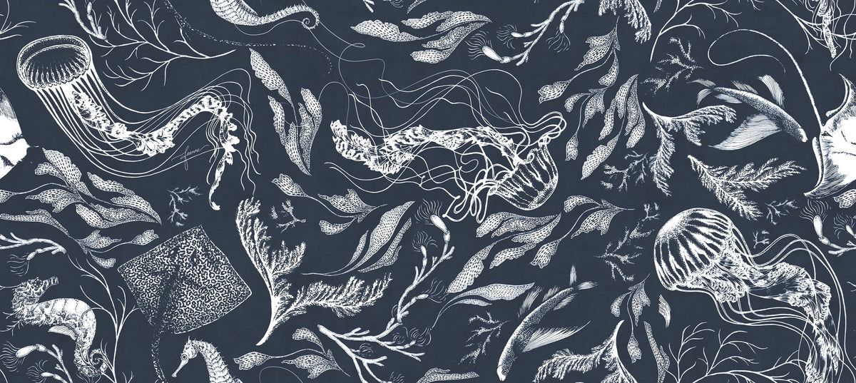 Navy Marine Life Wallpaper in your room