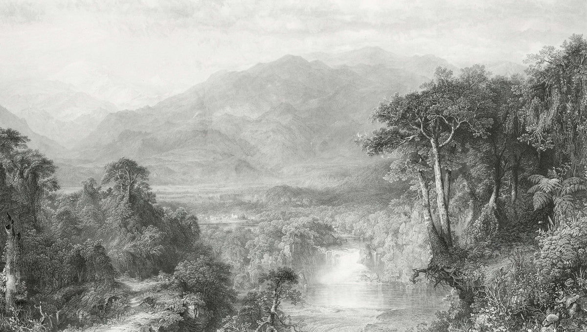 Vintage Black and White Landscape Wallpaper in your room — zoomed