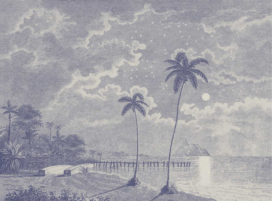 Vintage Moonlit Tropical Beach Engraving Wallpaper