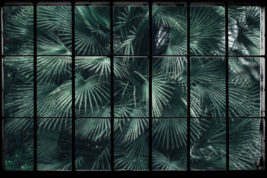 Lush Jungle Window Wallpaper