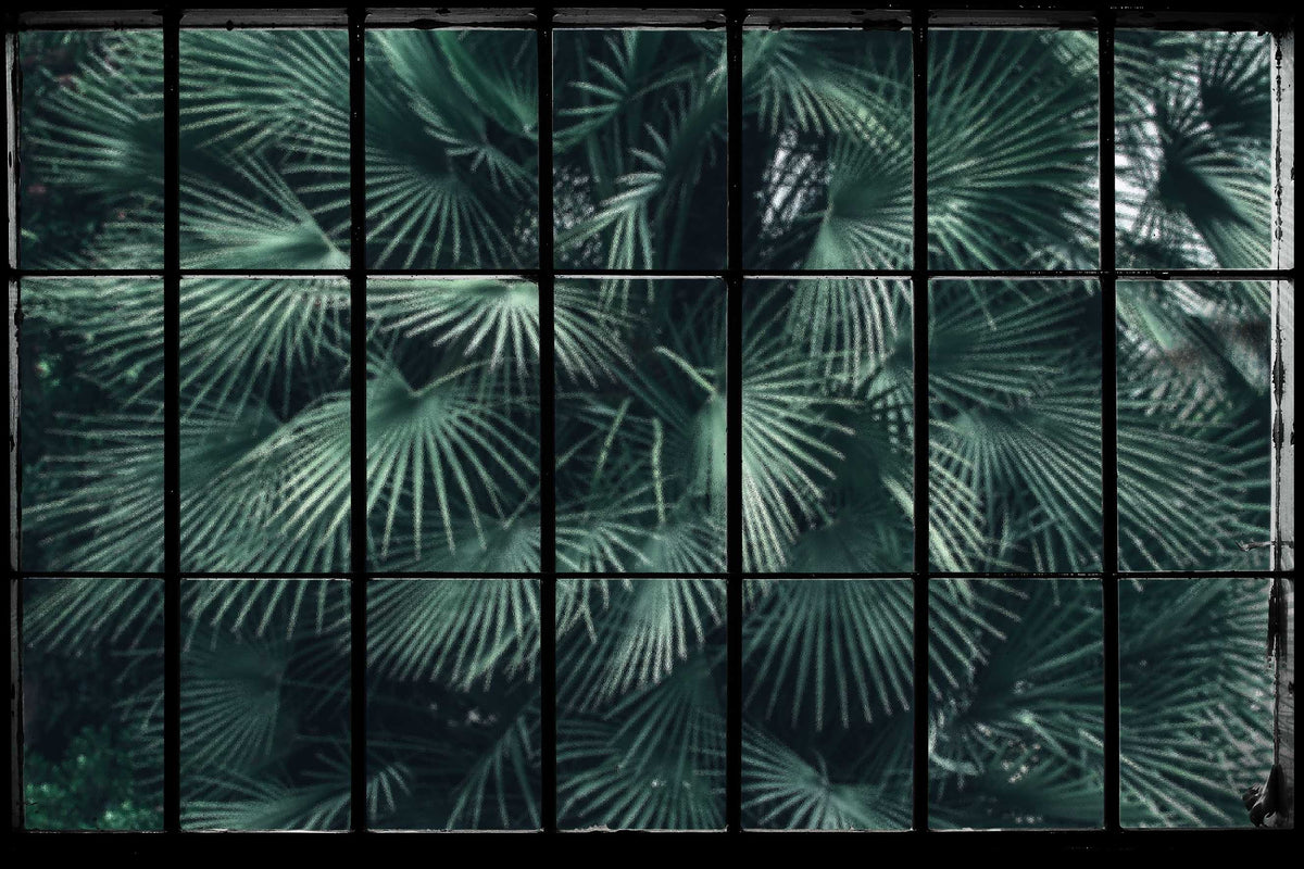 Lush Jungle Window Wallpaper