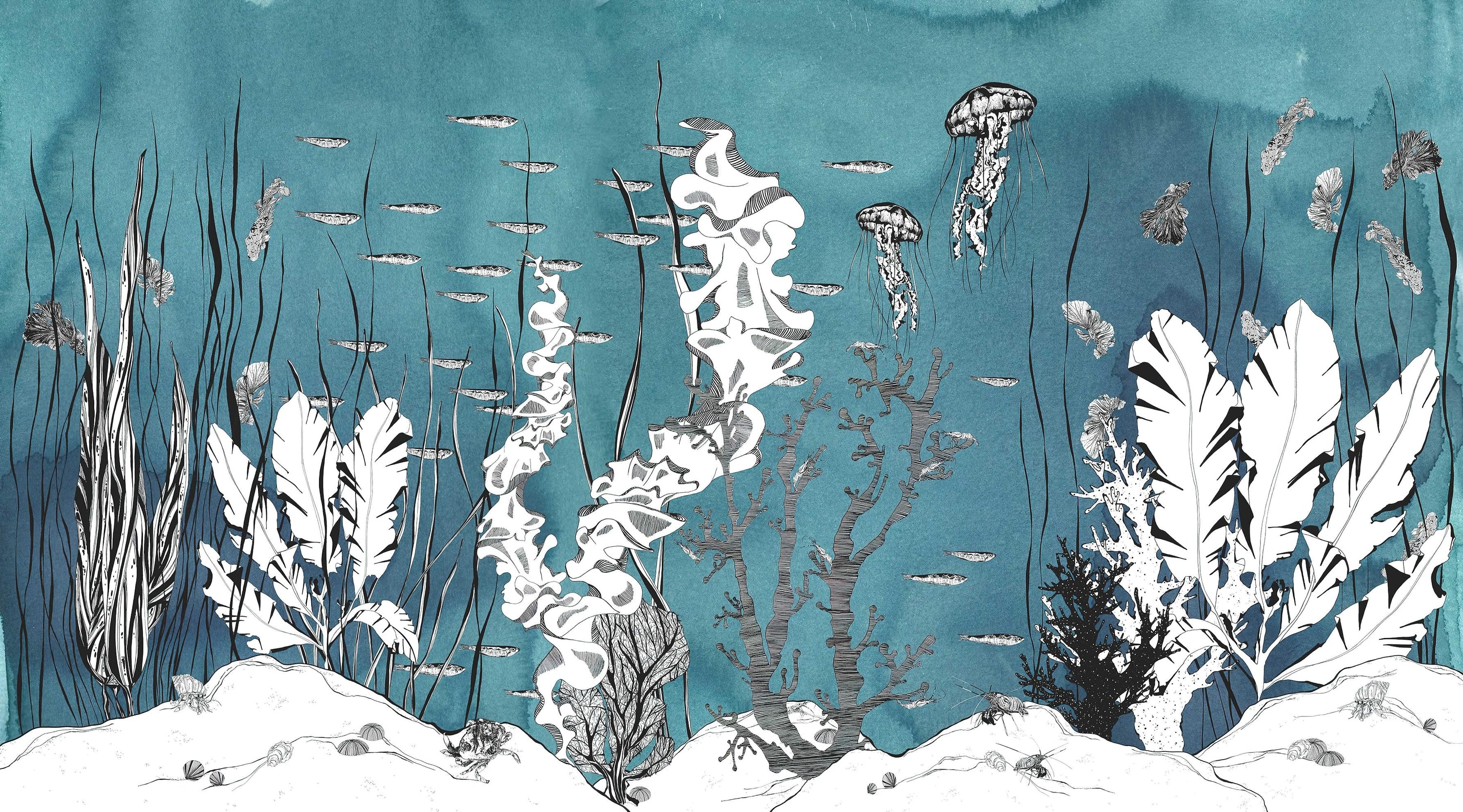 Underwater Botanical Marine Wallpaper Mural in your room — zoomed