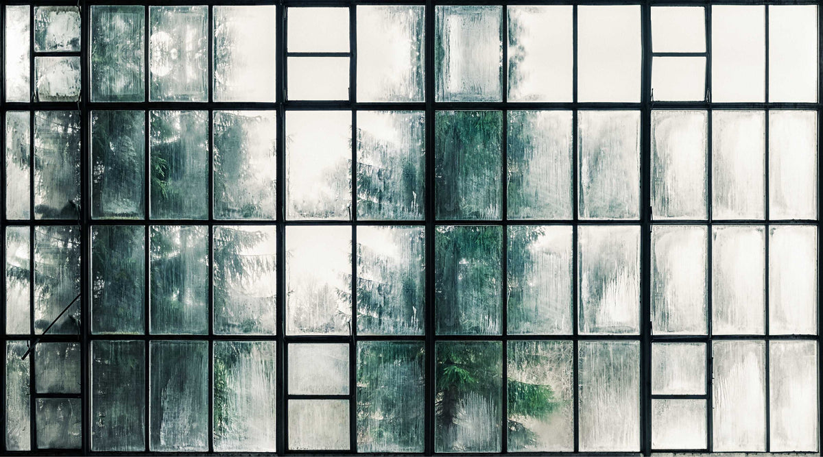 Foggy Industrial Window Pane Decor Wallpaper in your room — zoomed