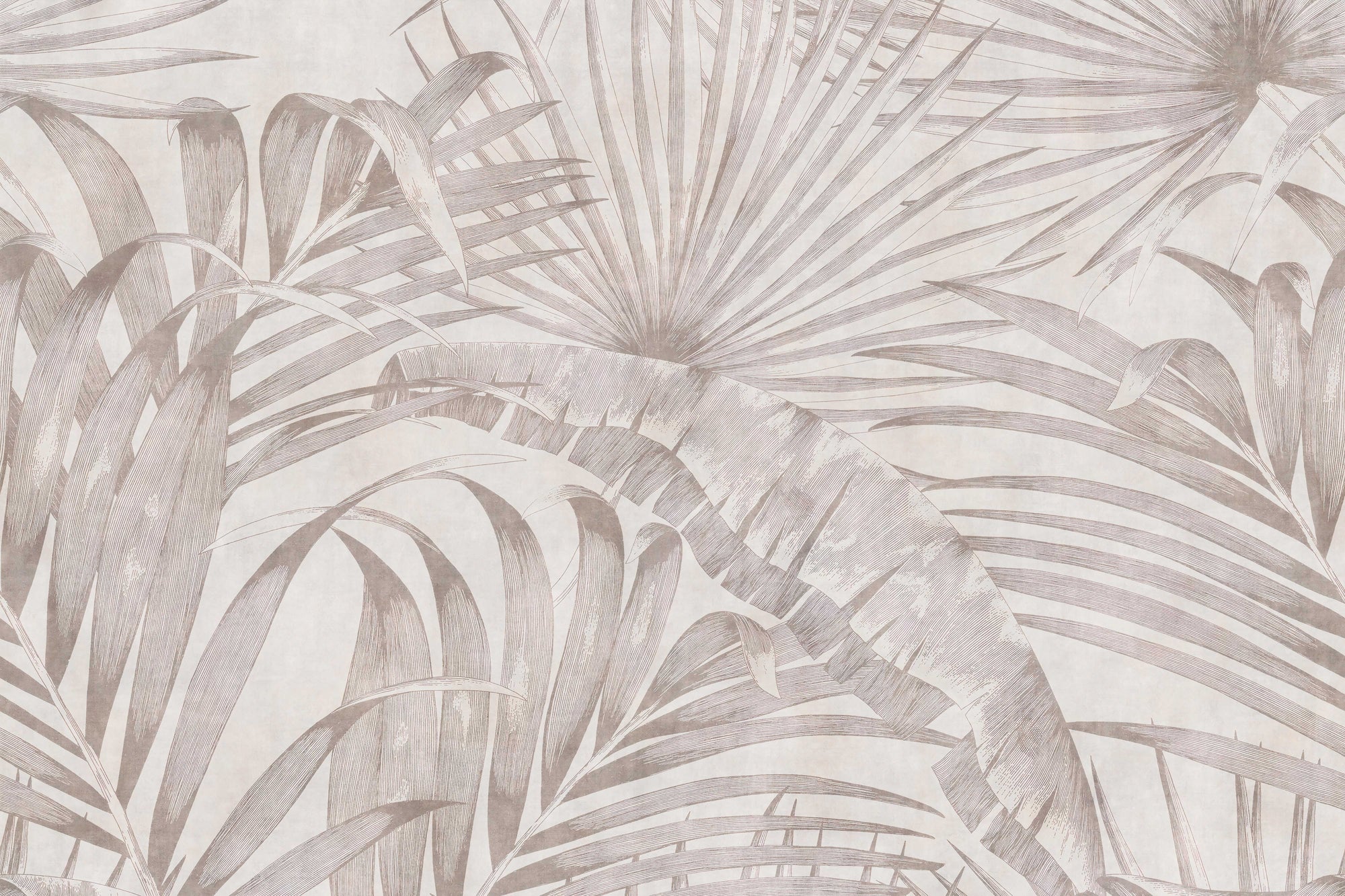 Vintage Neutral Palm Leaf Wallpaper