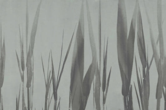 Monochrome Botanical Grass Wall Mural