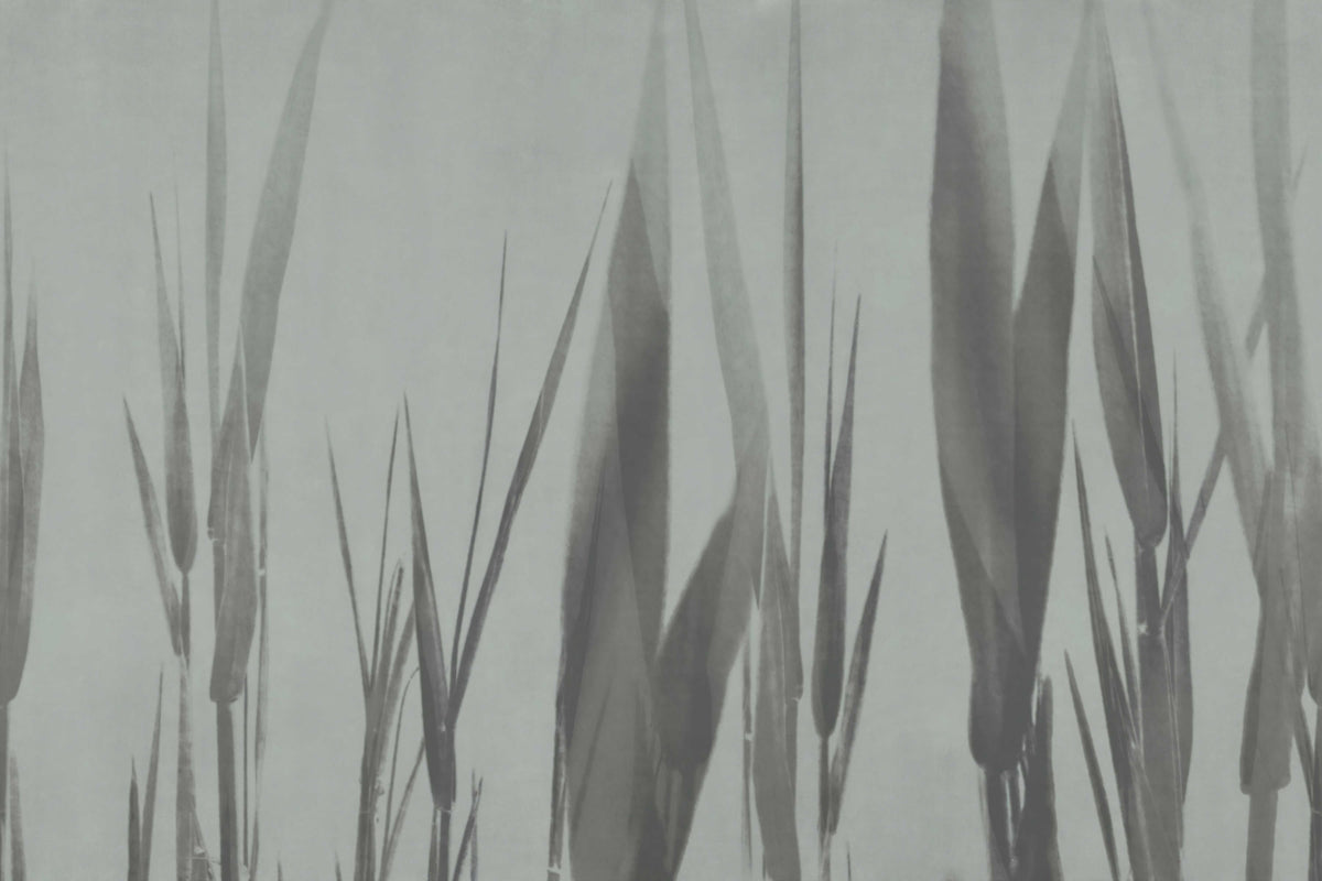 Monochrome Botanical Grass Wall Mural in your room