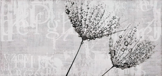 Monochrome Dandelion Water Droplet Art Mural