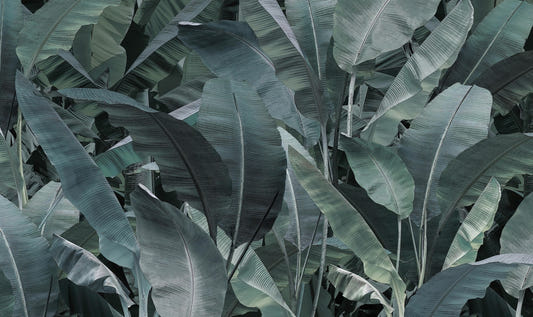 Tropical Banana Leaf Wallpaper Mural