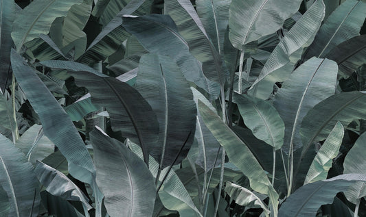 Tropical Banana Leaf Wallpaper Mural