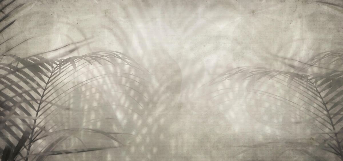 Neutral Palm Leaf Shadow Wallpaper in your room