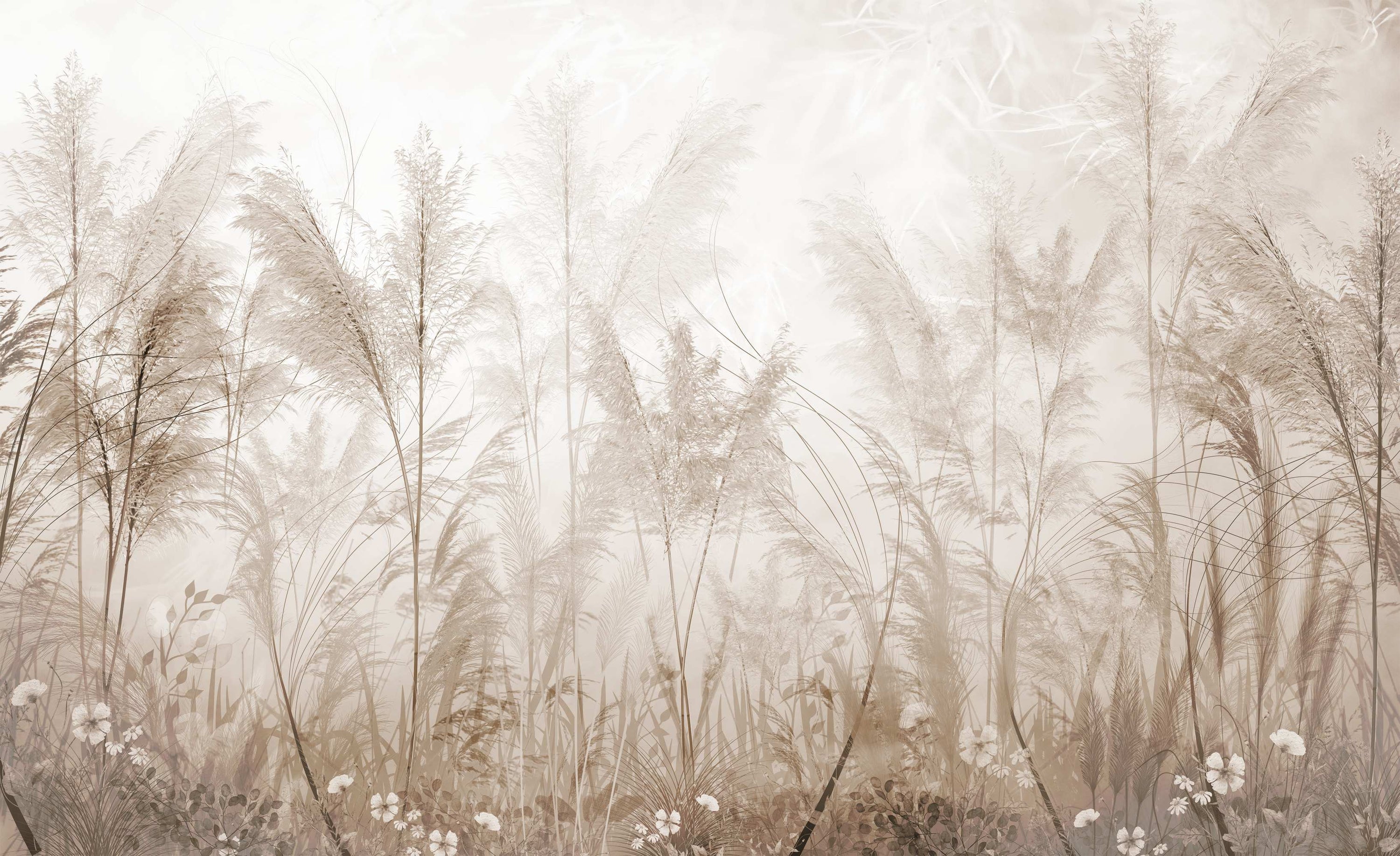 Elegant Pampas Grass Wall Mural in your room — zoomed
