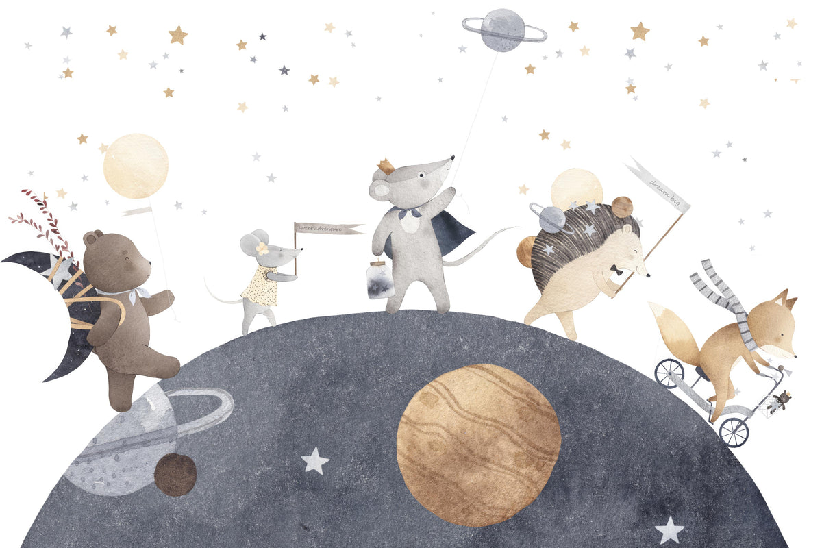 Dreamy Night Kids Wallpaper Mural in your room
