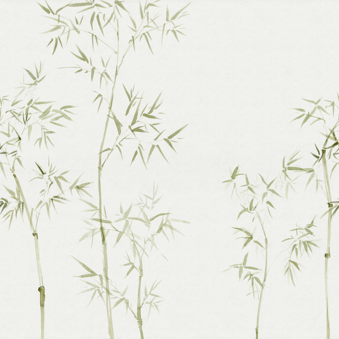 Watercolor Bamboo Tree Wallpaper Mural