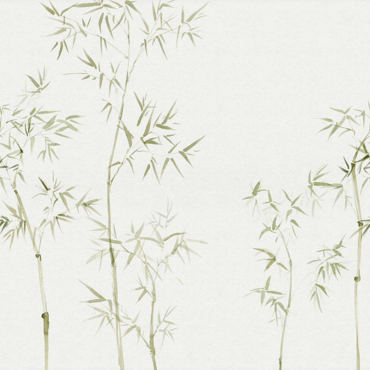 Watercolor Bamboo Tree Wallpaper Mural in your room — zoomed