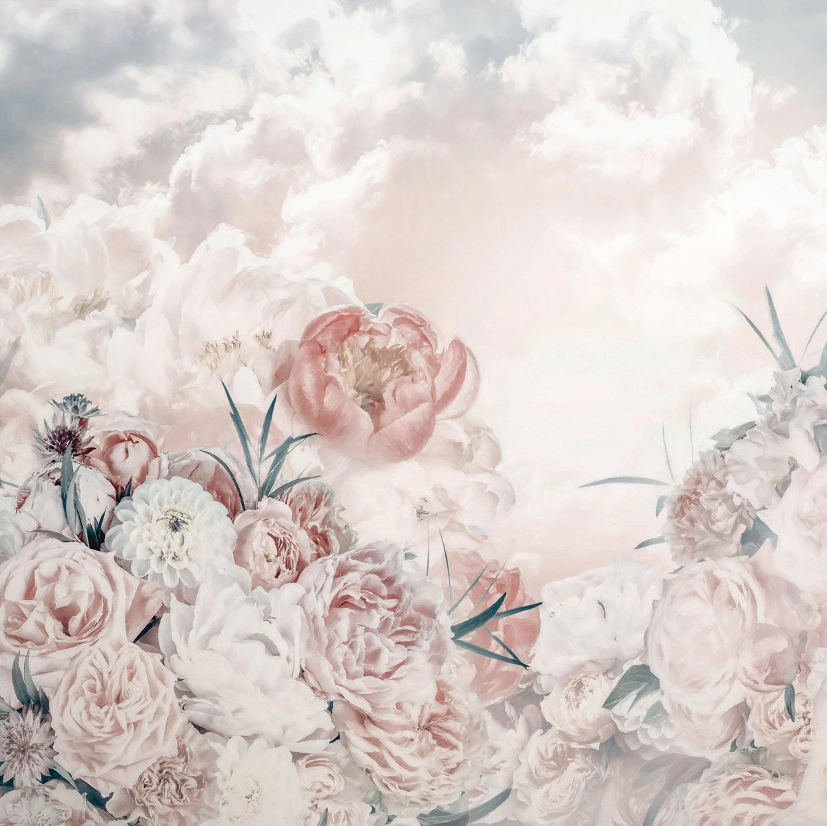 Pink White Flower Wallpaper Mural in your room — zoomed