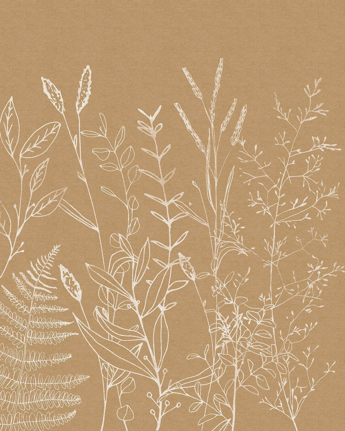 Beige Herbs Garden Wallpaper in your room