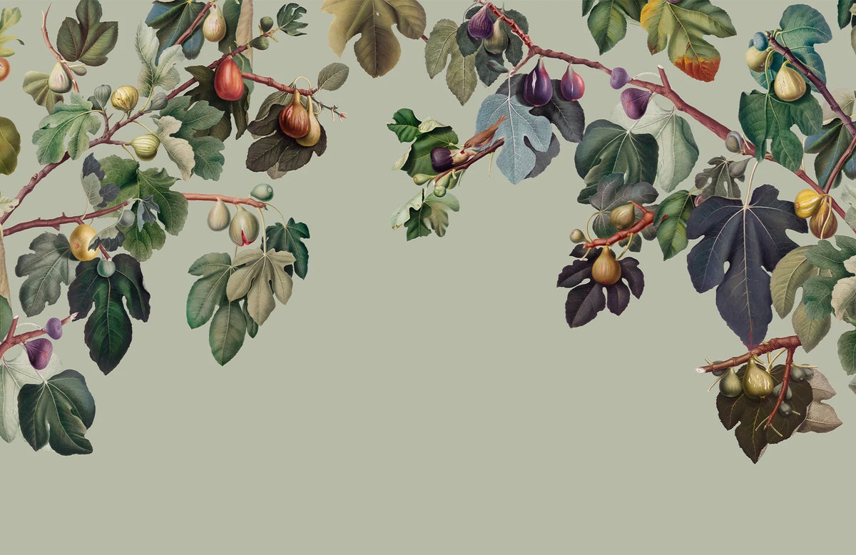 Botanical Fig Garden Wall Mural in your room — zoomed