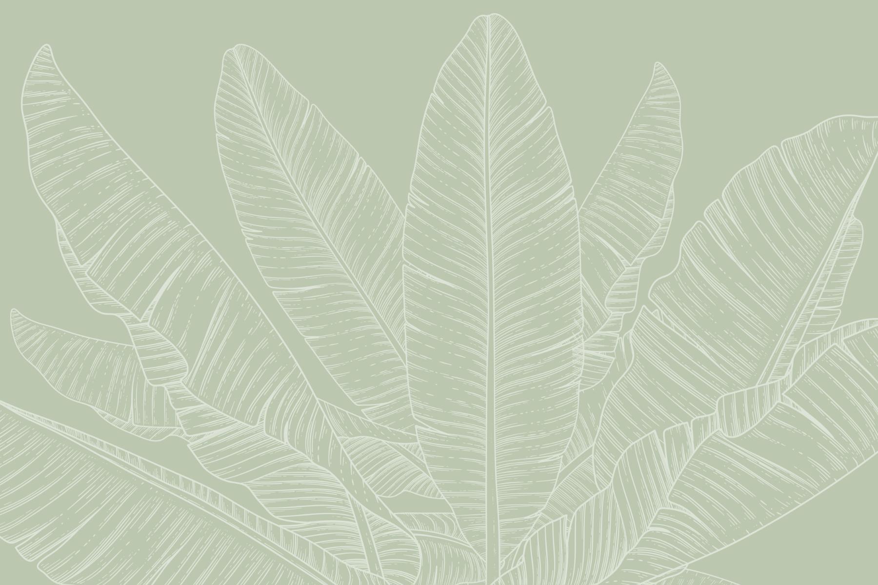 Green Banana Leaf Canopy Wallpaper