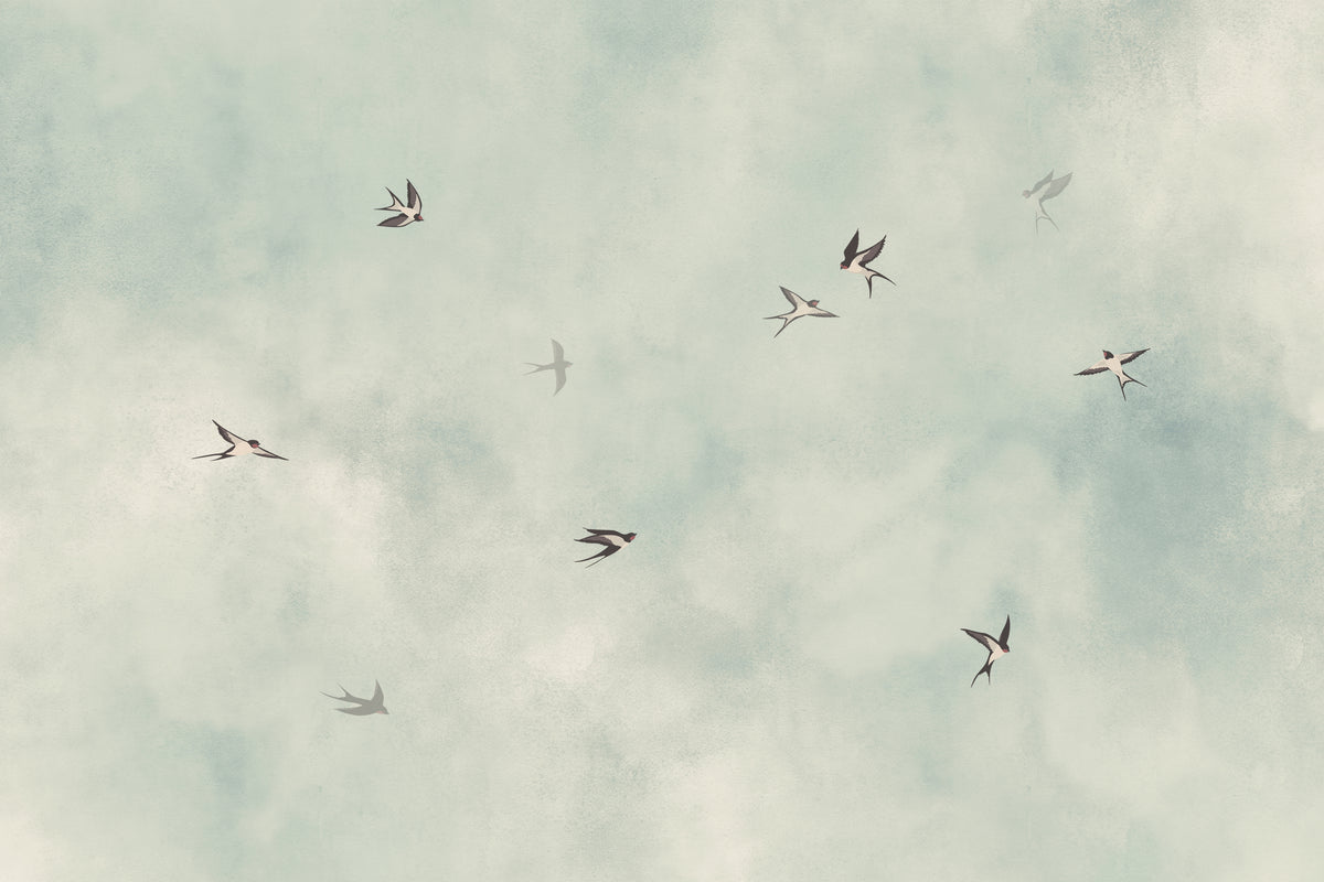Swallow Dance Sky Wallpaper in your room — zoomed