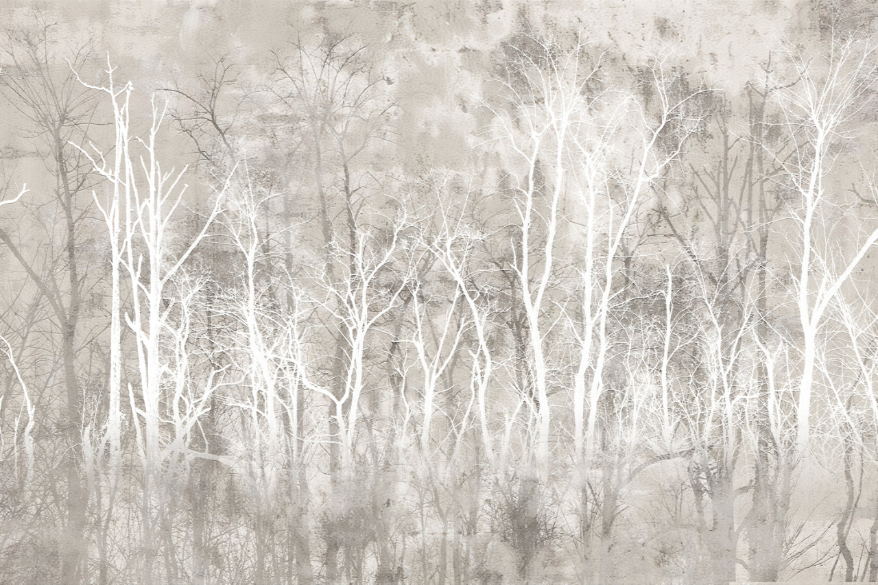 Monochrome Forest Tree Wallpaper Mural