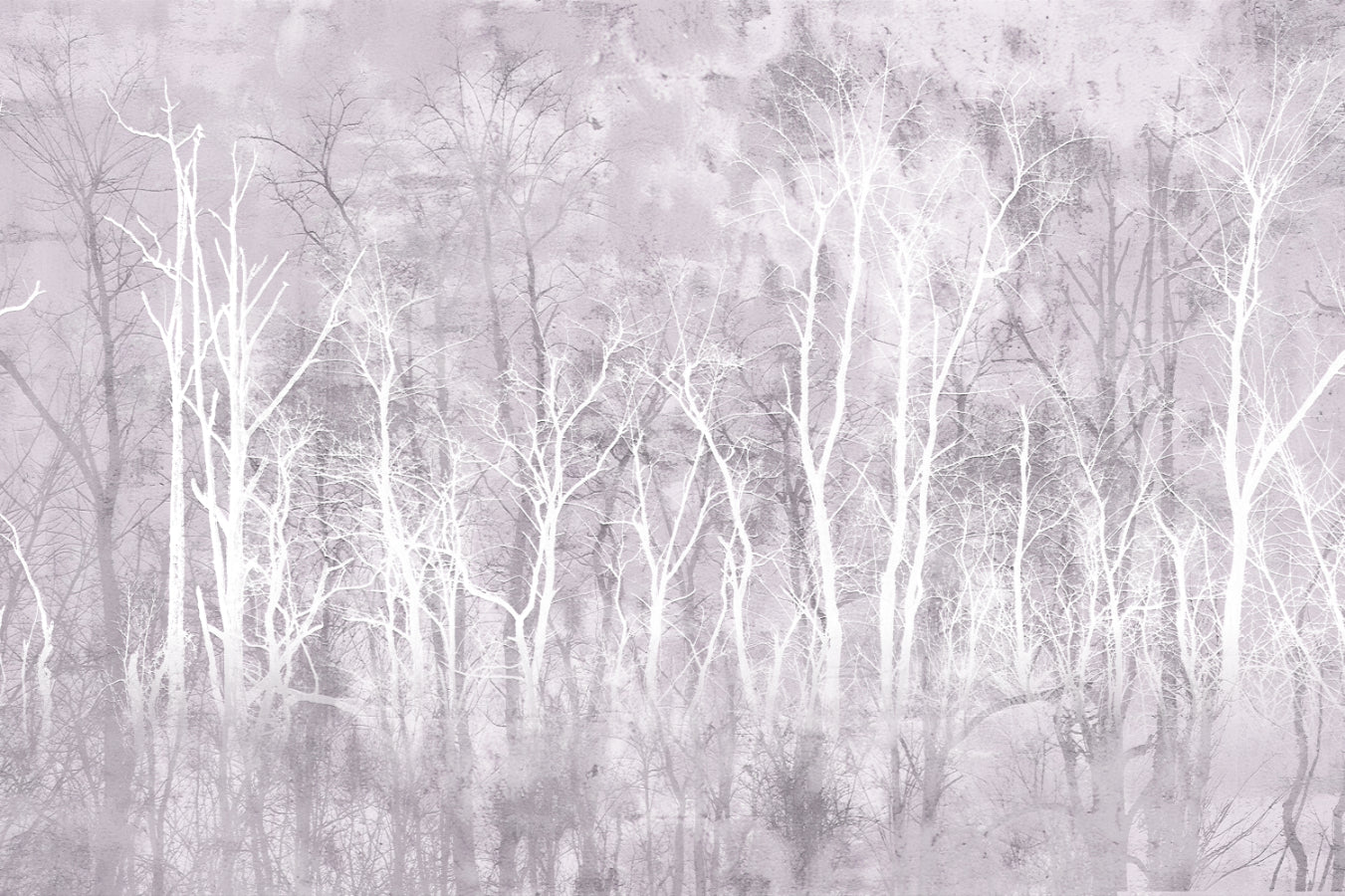 Misty Winter Forest Wall Mural