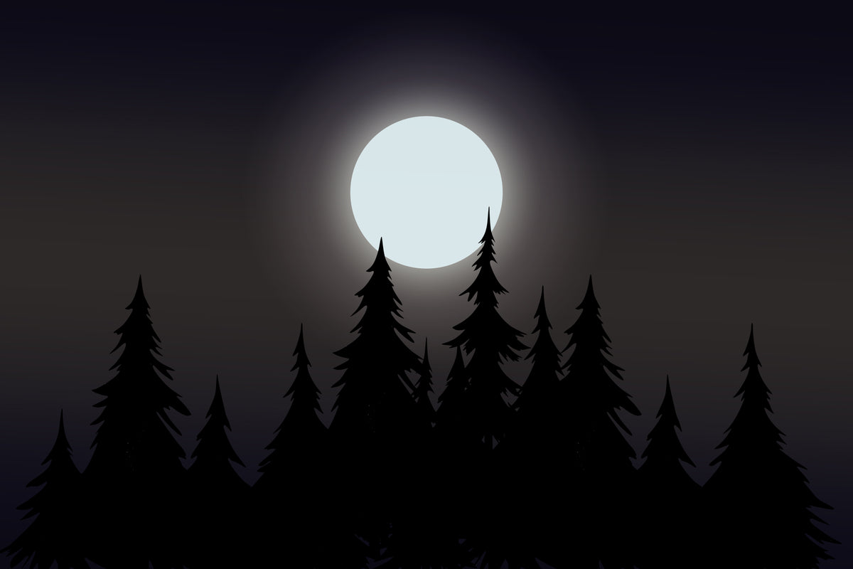 Mystical Moonlit Forest Wallpaper in your room