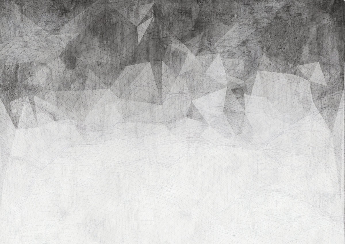 Monochrome Abstract Geometric Texture Wall Mural in your room — zoomed