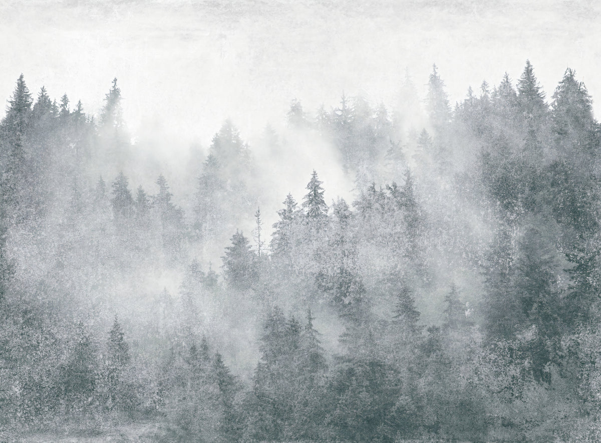 Misty Pine Forest Scenic Wall Mural in your room