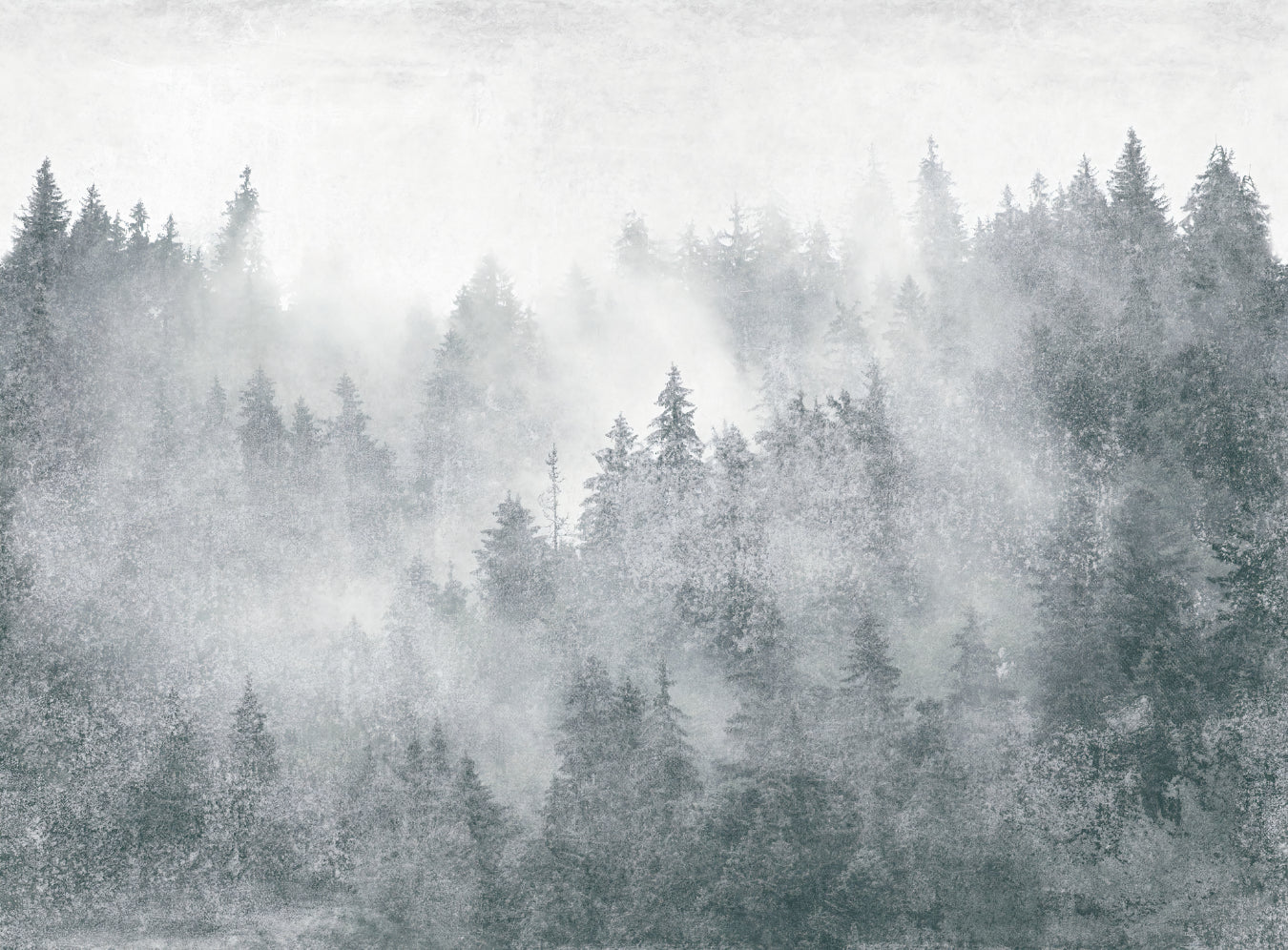 Misty Pine Forest Scenic Wall Mural
