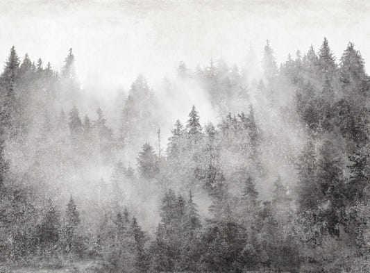 Monochrome Misty Pine Forest Wall Mural