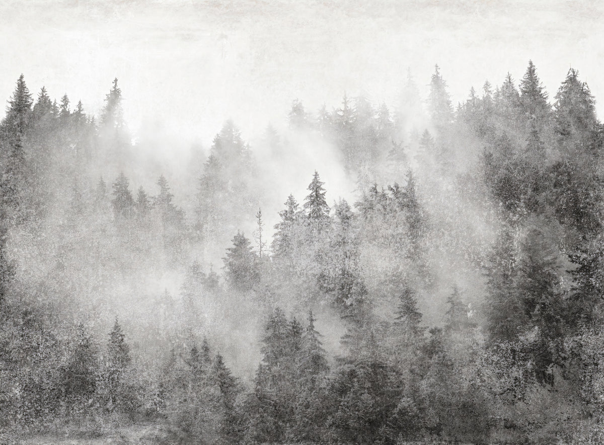 Monochrome Misty Pine Forest Wall Mural in your room
