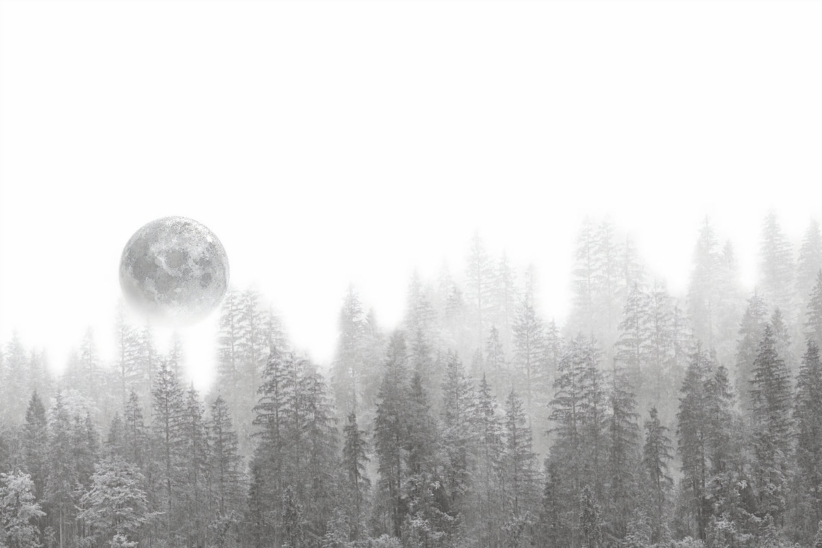 Misty Forest Moon Wallpaper Mural
