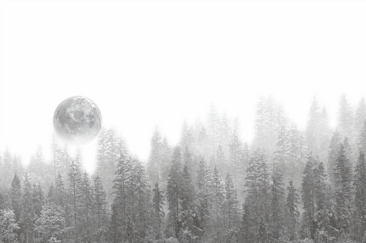 Misty Forest Moon Wallpaper Mural