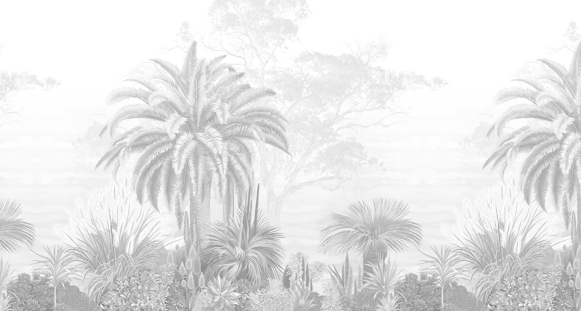 Misty Monochrome Tropical Wallpaper