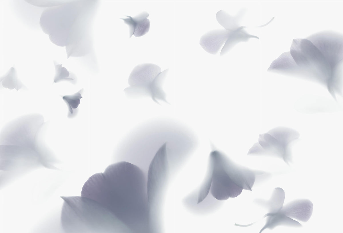 Minimalist Lavender Floral Wall Mural