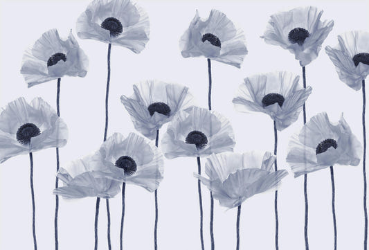 Modern Blue Poppy Wall Mural