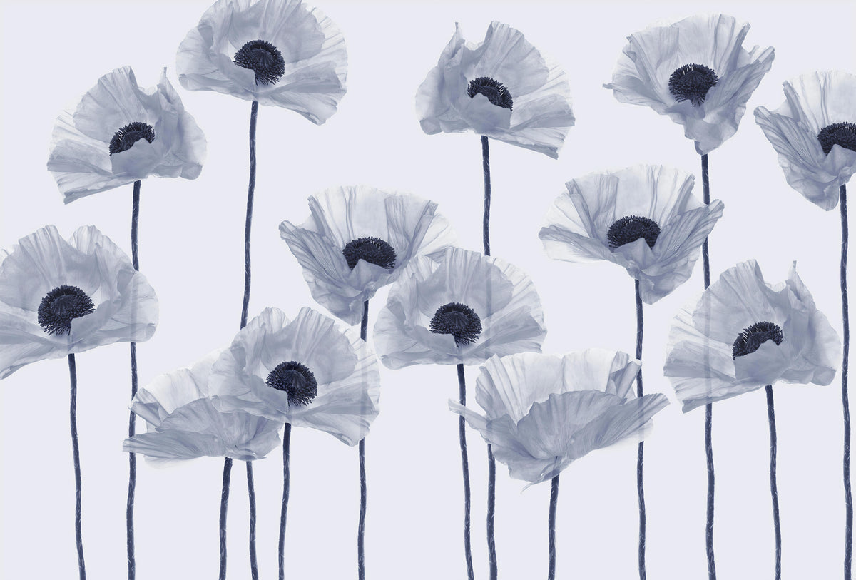 Modern Blue Poppy Wall Mural in your room — zoomed