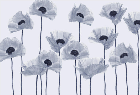 Modern Blue Poppy Wall Mural