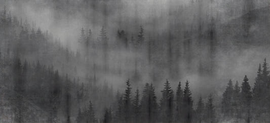 Misty Forest Black Wall Mural