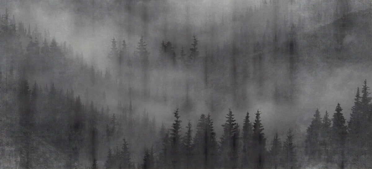 Misty Forest Black Wall Mural