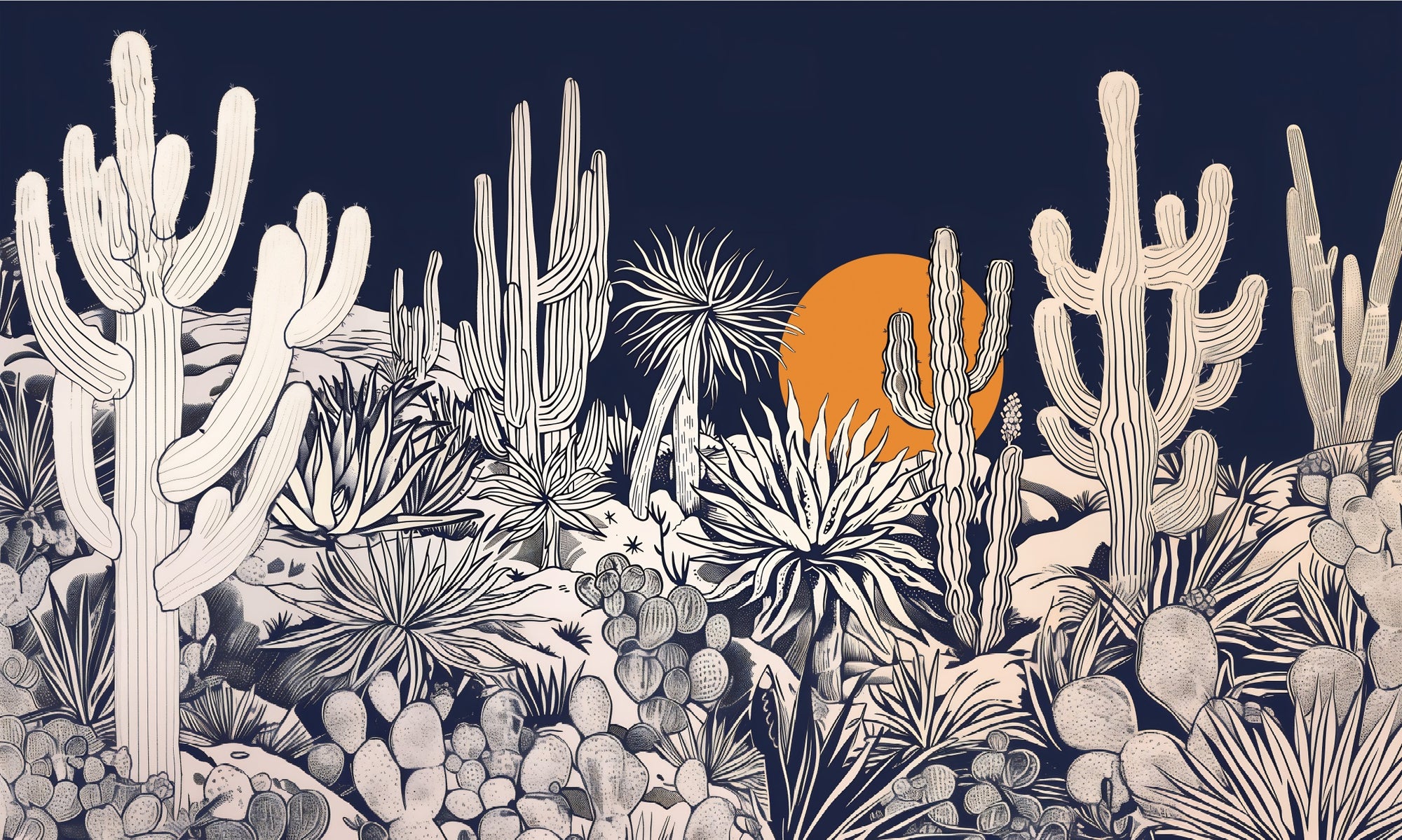 Sunset Etchings Desert Landscape Wallpaper