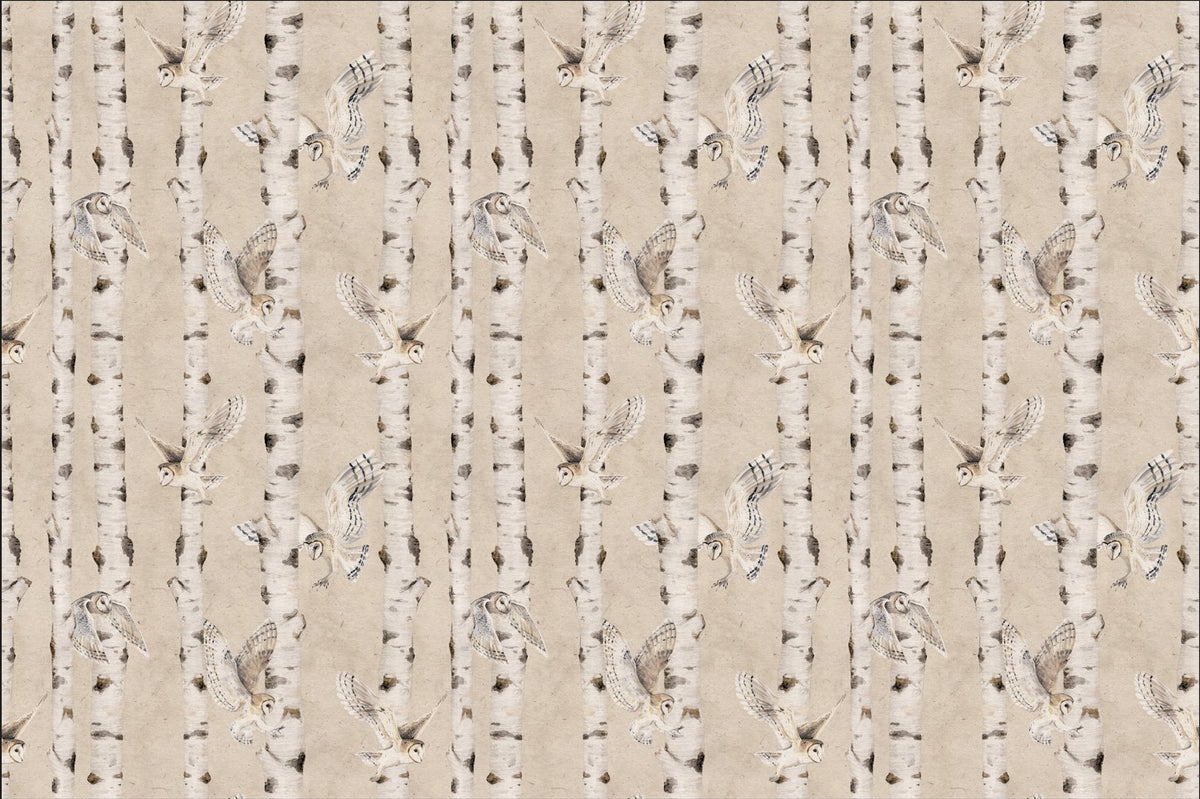 Owl Birch Forest Wallpaper - Beige in your room