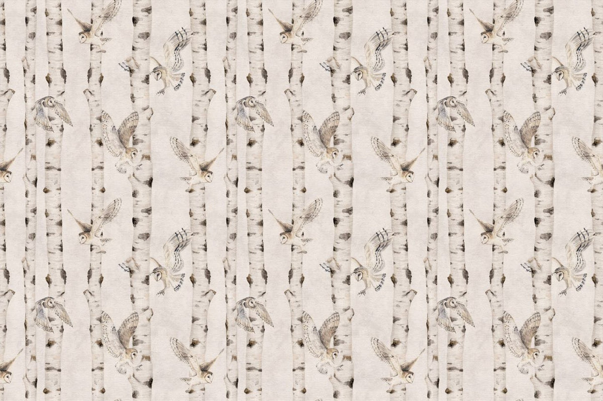 Owl Birch Forest Wallpaper - White in your room