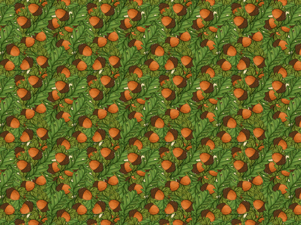 Acorns Wallpaper for Walls
