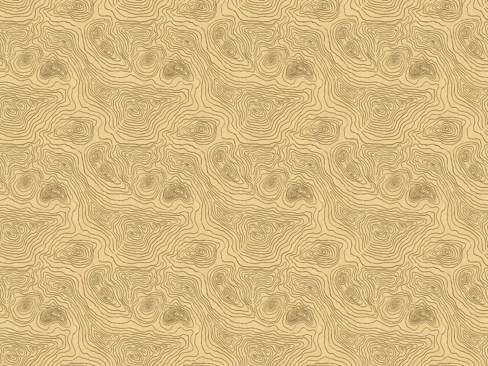Contours Land Wallpaper Murals in your room
