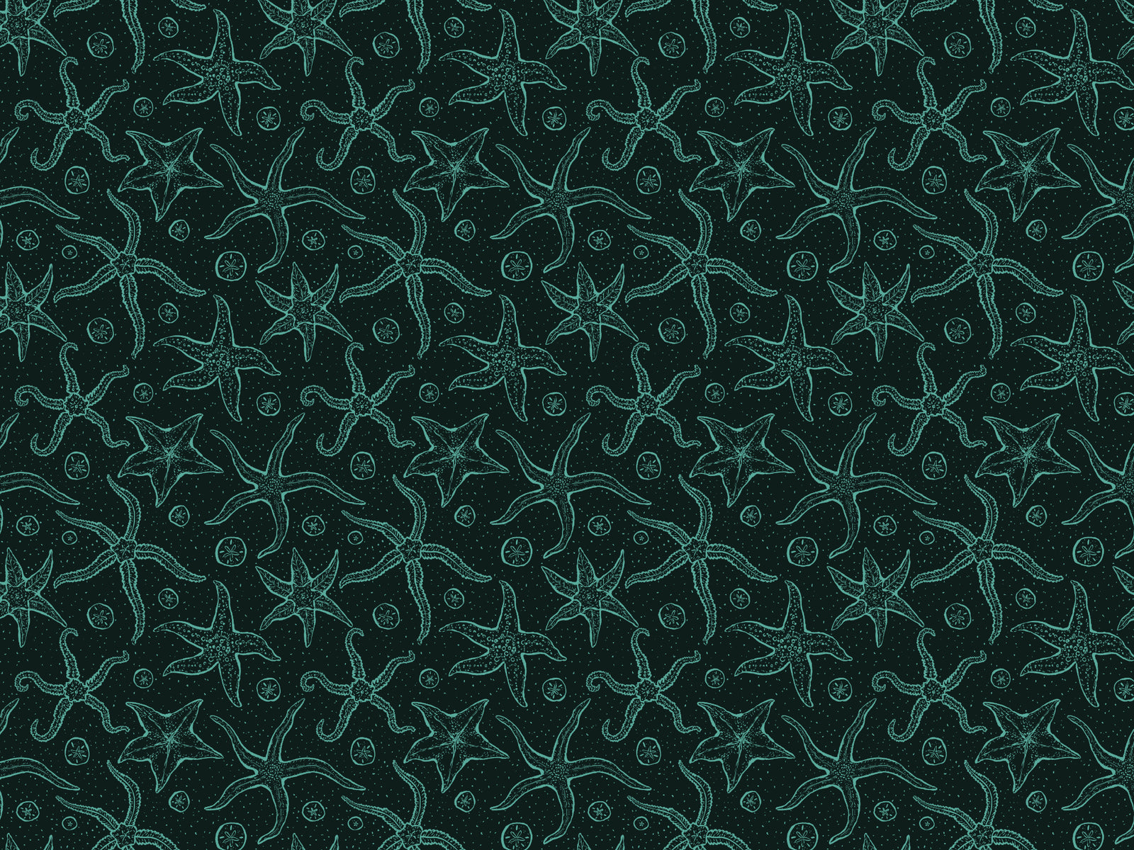 Dark Blue Echinoderms Wallpaper